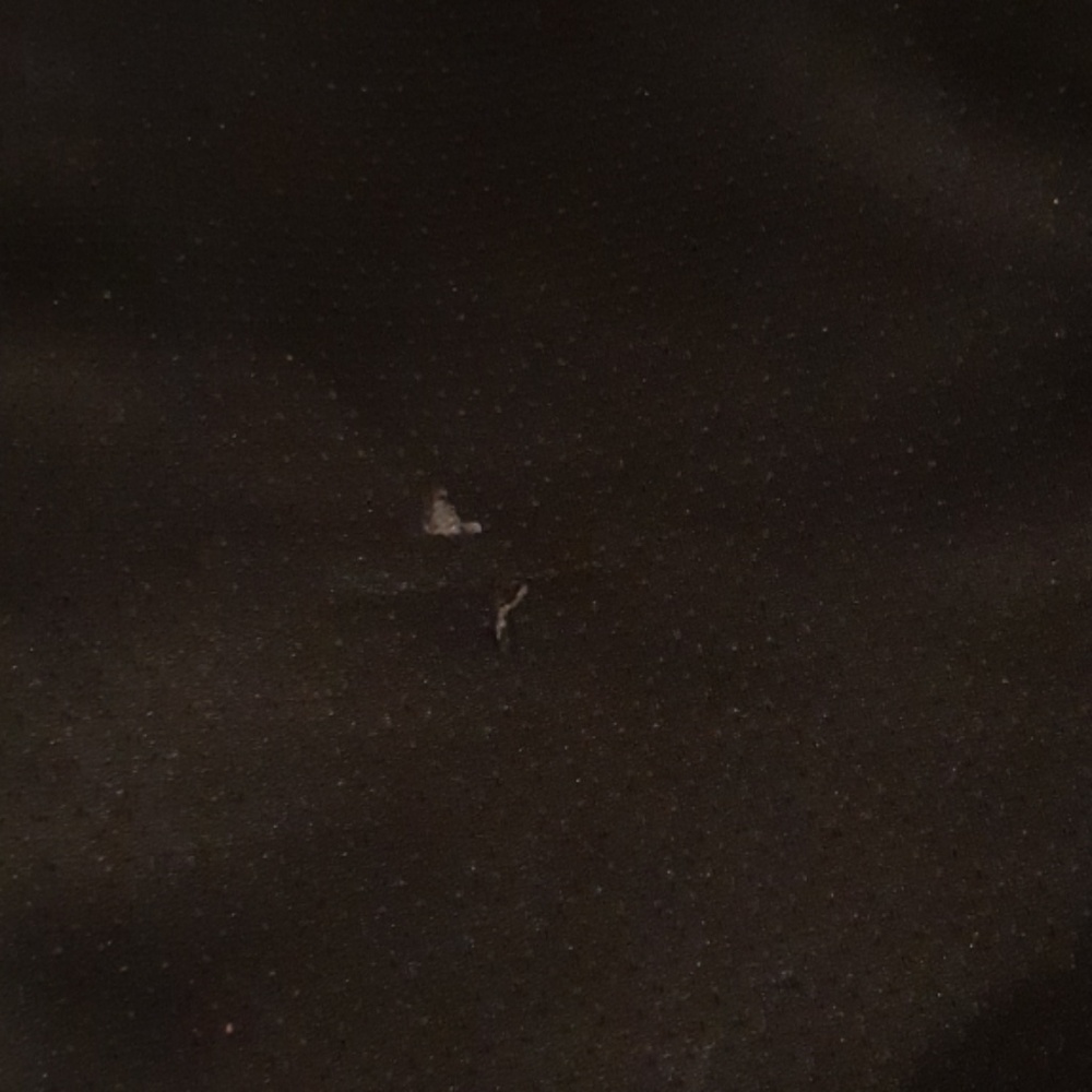 Pants - Picture 2 of 2